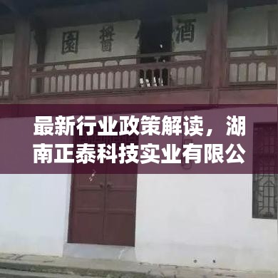 湖南正泰科技应对行业挑战与市场策略解读