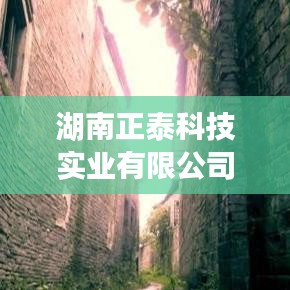 湖南正泰科技实业，客户口碑铸就卓越品质保障。
