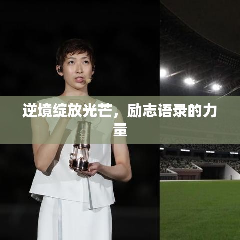 励志语录，逆境中绽放光芒的力量