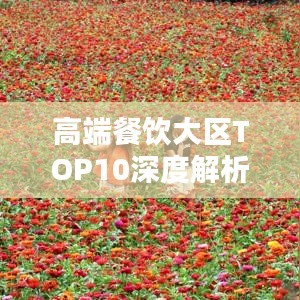 高端餐饮大区TOP10深度剖析报告
