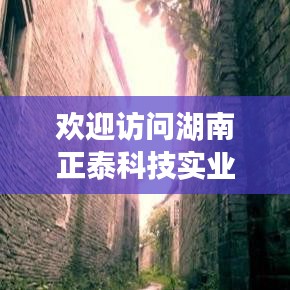 湖南正泰科技实业有限公司官网，专业科技实力，优质服务体验
