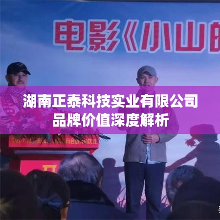 湖南正泰科技品牌价值深度解读