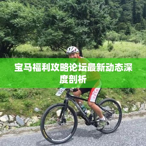 宝马福利攻略论坛，最新动态深度解读与分享