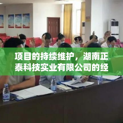湖南正泰科技实业公司项目持续维护经验与策略分享