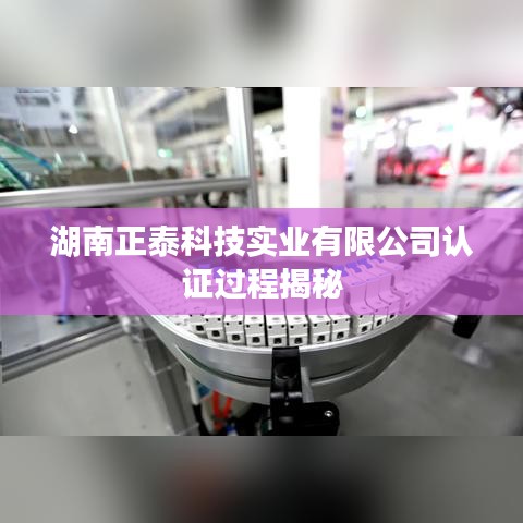 湖南正泰科技实业有限公司认证流程揭秘，专业品质保障