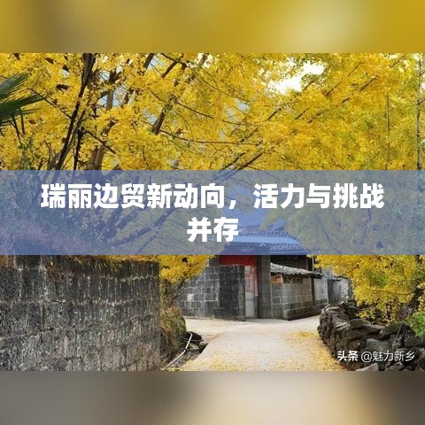 瑞丽边贸新动向，活力与挑战并存
