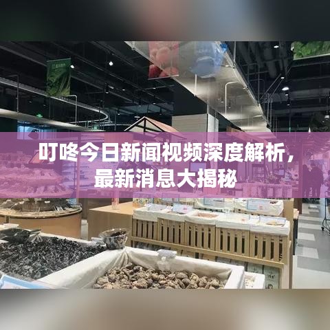 叮咚今日新闻视频深度解析，最新消息大揭秘