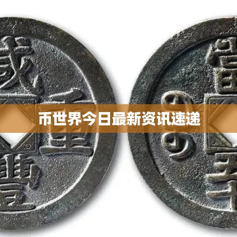 币世界今日最新资讯速递