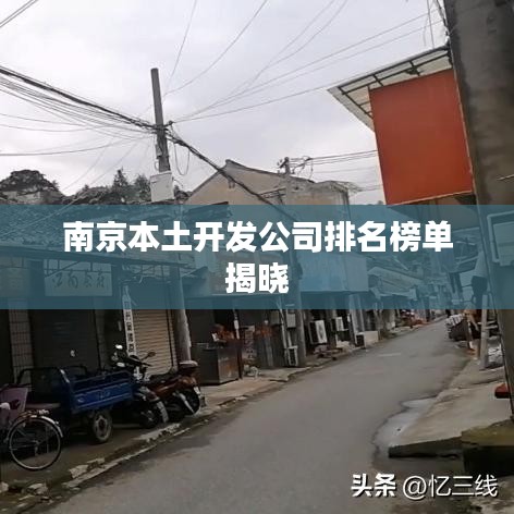 南京本土开发公司排名榜单揭晓