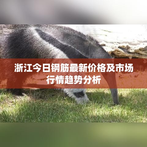 浙江今日钢筋最新价格及市场行情趋势分析