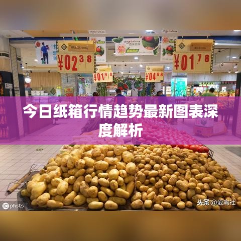 今日纸箱行情趋势最新图表深度解析
