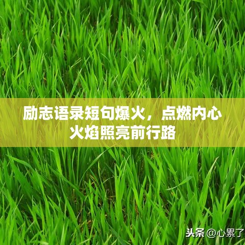 励志语录短句爆火，点燃内心火焰照亮前行路