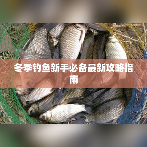 豪门贵胄 第3页