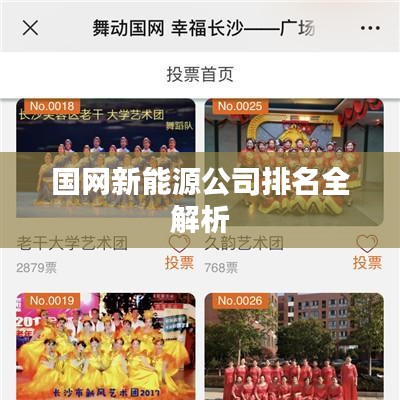国网新能源公司排名全解析