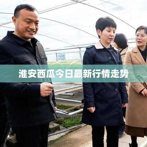 淮安西瓜今日最新行情走势