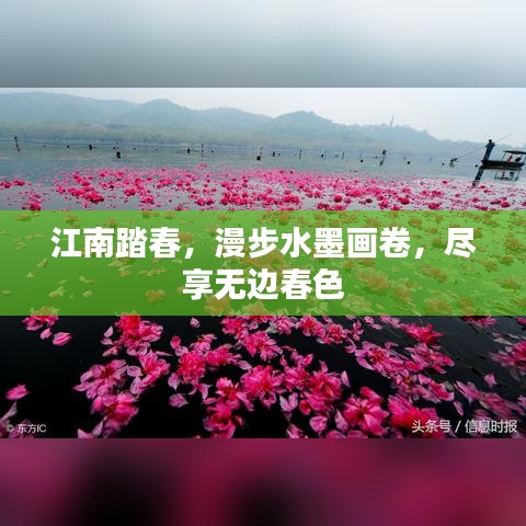江南踏春，漫步水墨画卷，尽享无边春色