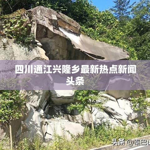 四川通江兴隆乡最新热点新闻头条