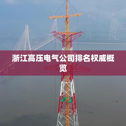浙江高压电气公司排名权威概览