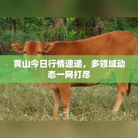 第1350页