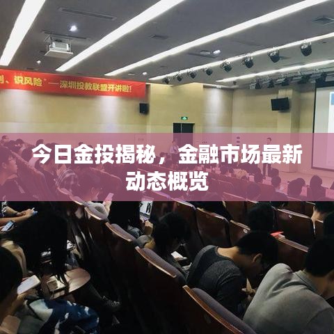 今日金投揭秘，金融市场最新动态概览