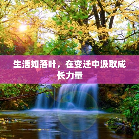 雍容尔雅 第3页