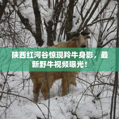 映月读书 第3页