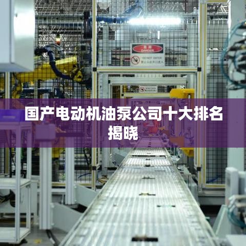 国产电动机油泵公司十大排名揭晓