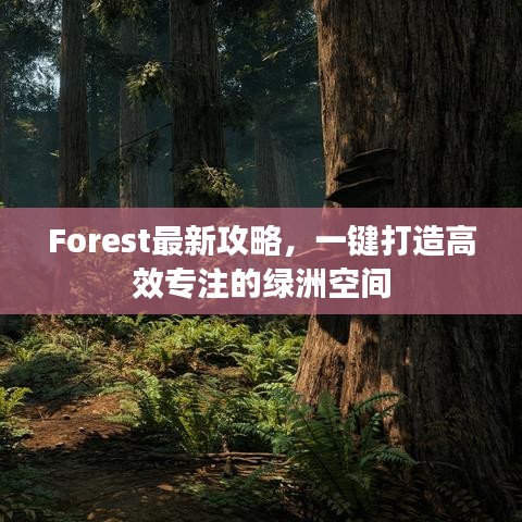 Forest最新攻略，一键打造高效专注的绿洲空间