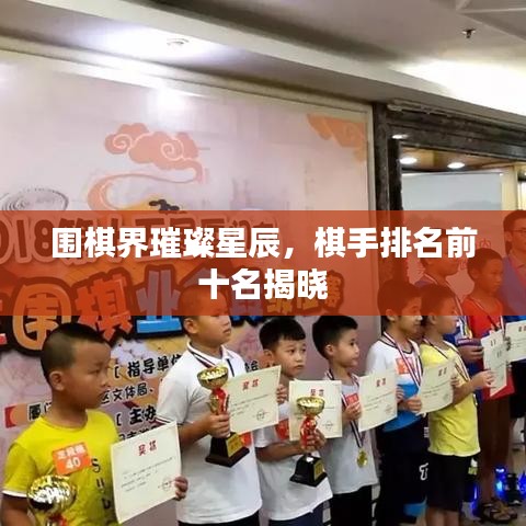围棋界璀璨星辰，棋手排名前十名揭晓