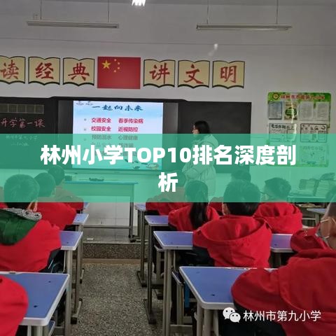 林州小学TOP10排名深度剖析
