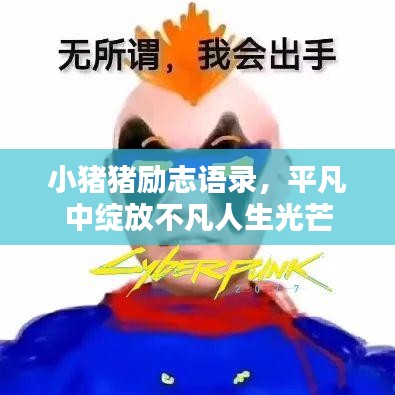 小猪猪励志语录，平凡中绽放不凡人生光芒