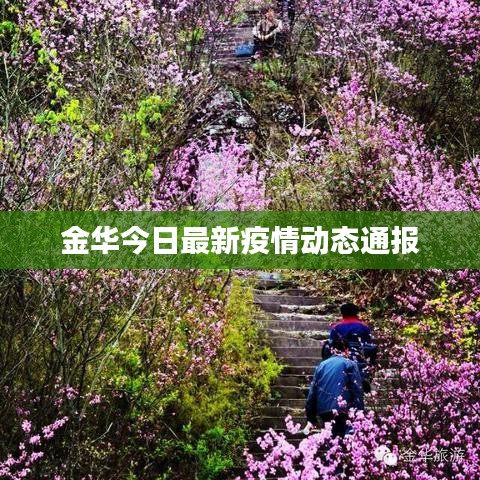 金华今日最新疫情动态通报