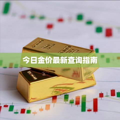 今日金价最新查询指南