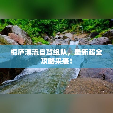 新闻中心 第1325页