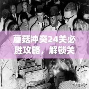 蘑菇冲突24关必胜攻略，解锁关键策略最新指南