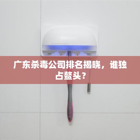 广东杀毒公司排名揭晓，谁独占鳌头？