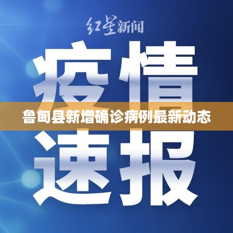 鲁甸县新增确诊病例最新动态