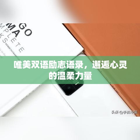 唯美双语励志语录，邂逅心灵的温柔力量