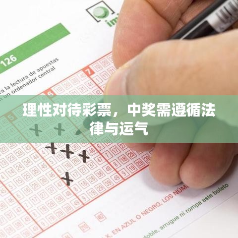 理性对待彩票，中奖需遵循法律与运气