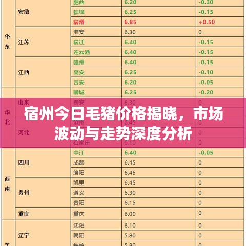 宿州今日毛猪价格揭晓，市场波动与走势深度分析