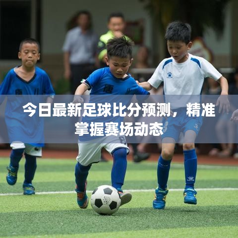 今日最新足球比分预测，精准掌握赛场动态