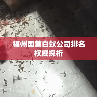 福州国营白蚁公司排名权威探析