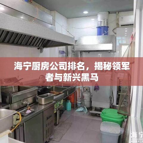 海宁厨房公司排名，揭秘领军者与新兴黑马
