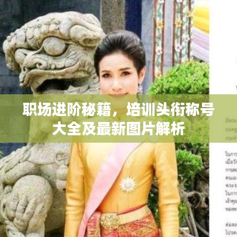 张张屈屈 第3页