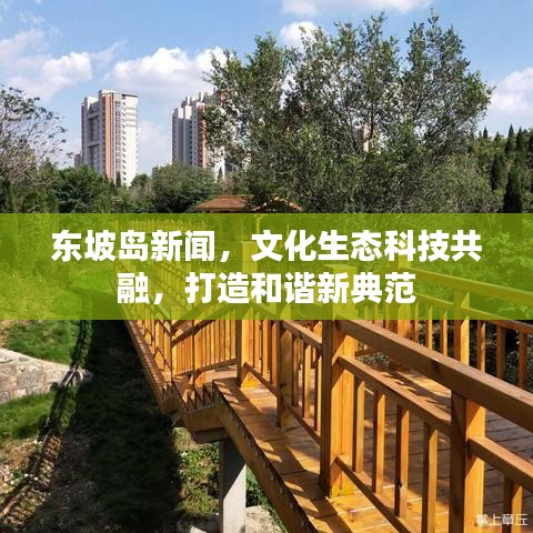 东坡岛新闻，文化生态科技共融，打造和谐新典范