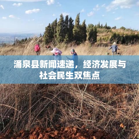 涌泉县新闻速递，经济发展与社会民生双焦点