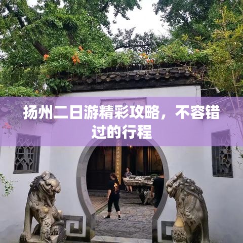 乌鸟私情 第4页