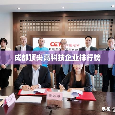 成都顶尖高科技企业排行榜