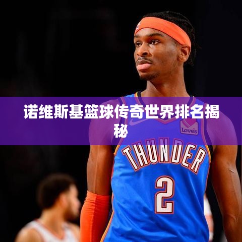 诺维斯基篮球传奇世界排名揭秘