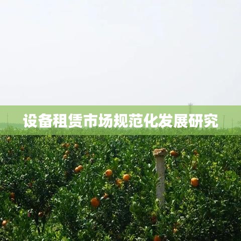 设备租赁市场规范化发展探究
